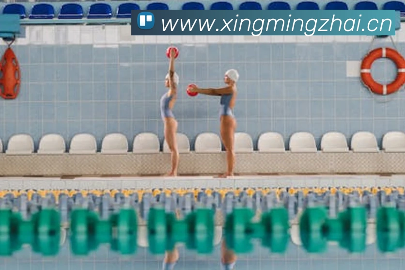 星空官方网页版登录发展历程